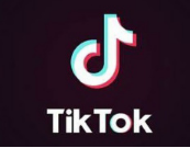 TikTok 要取代谷歌搜索引擎位置？美國(guó)年輕人：TikTo